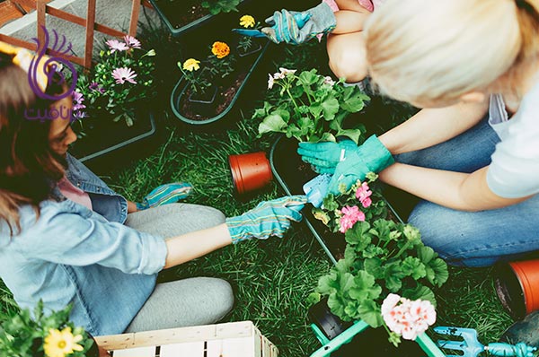 10 فعالیت برای ترکیب کارهای روزانه با فعالیت های ورزشی ، باغبانی