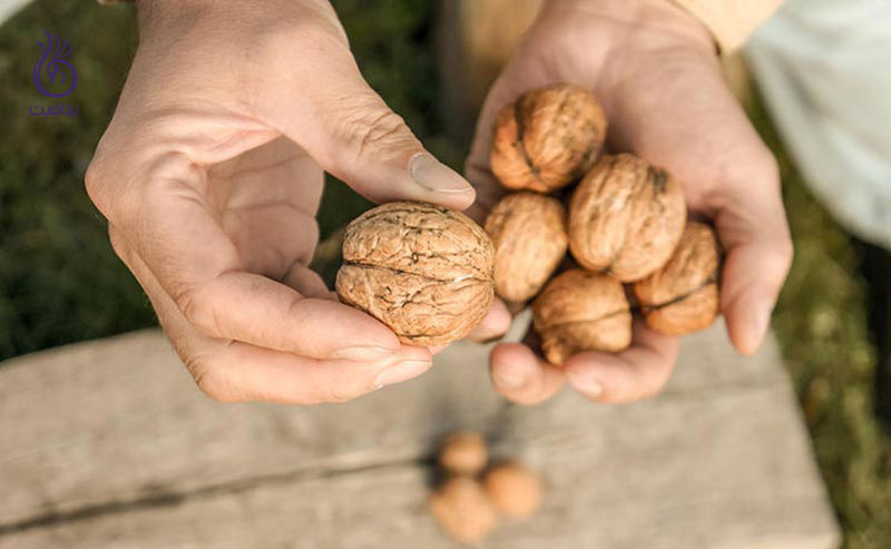 بایدها و نبایدهای غذایی سرطان پروستات