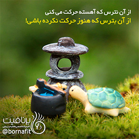 از آن نترس که آهسته حرکت می کنی
