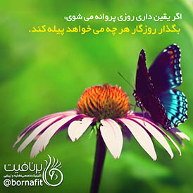بگذار روزگار هر چه می خواهد پیله کند