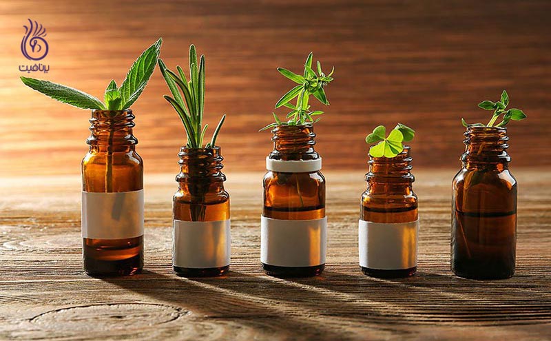 گیاهان ضد التهابی مفید برای پروستات