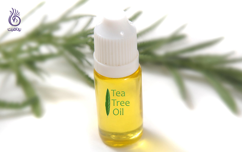 همه چیز درباره ی روغن درخت چای ، برنافیت