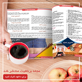 مجله الکترونیکی برنافیت-شماره 4 - مجله برنافیت