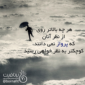 آنان که پرواز نمی دانند