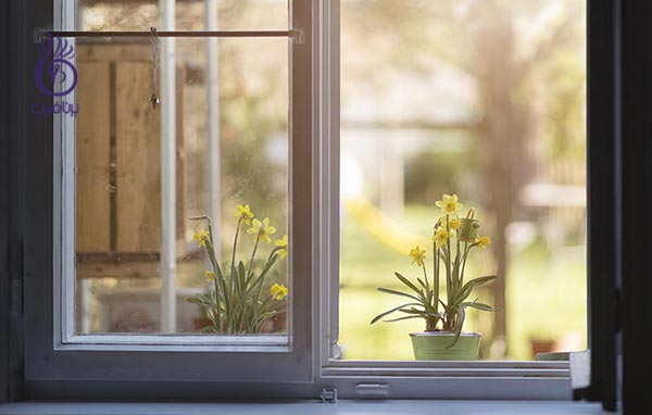آلرژی فصلی - گل و پنجره - برنافیت