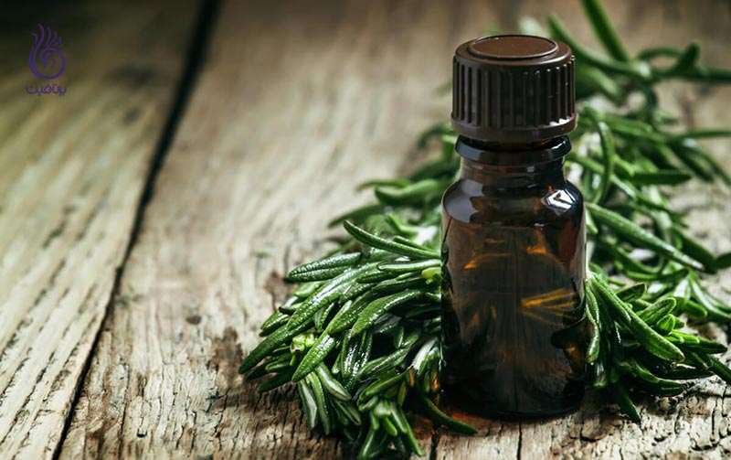 آیا روغن درخت چای برای درمان آکنه مفید است؟ - برنافیت