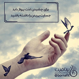 برای چشیدن لذت پرواز باید جسارت پریدن را داشته باشید - برنافیت