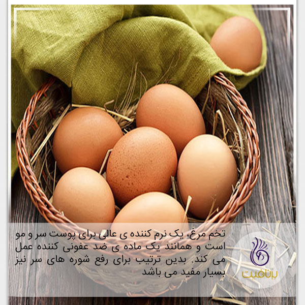 درمان شوره سر- تخم مرغ- برنافیت