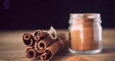 دارچین- تغذیه- برنافیت