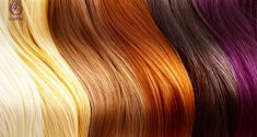رنگ موهای طبیعی- زیبایی- برنافیت