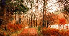 جاذبه های دیدنی- سبک زندگی- برنافیت