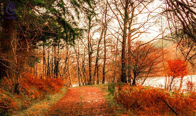 جاذبه های دیدنی- سبک زندگی- برنافیت
