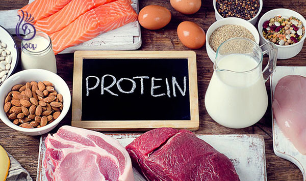رژیم لاغری غذایی- پروتئین- برنافیت