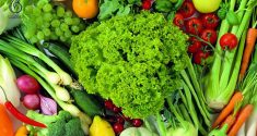 مواد غذایی قلیایی- تغذیه- برنافیت
