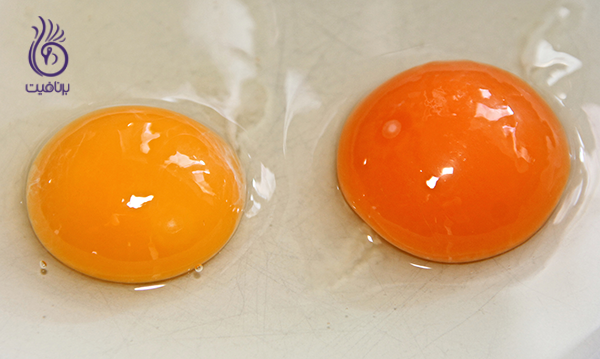 بیوتین و مو - زرده تخم مرغ- برنافیت