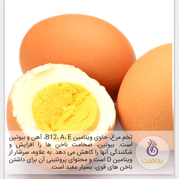 تغذیه و رشد ناخن - تخم مرغ - برنافیت