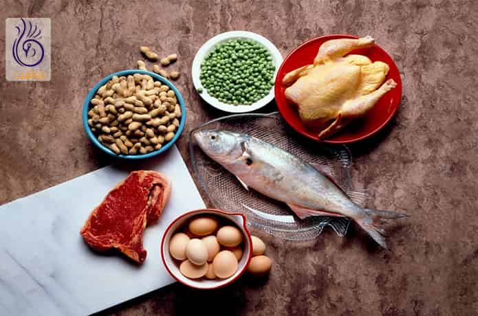 مصرف فیبر و پروتئین