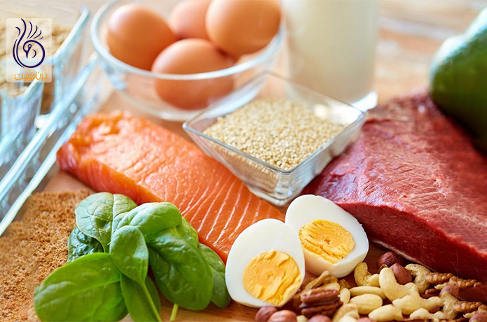 مصرف پروتئین و متابولیسم بدن