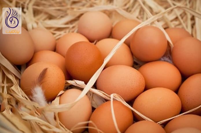 مصرف تخم مرغ در ماه رمضان