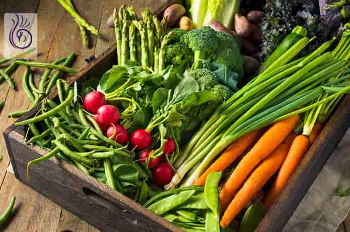 مصرف میوه و سبزیجات و رژیم تک خوری خیار 