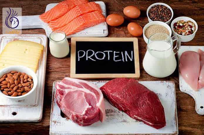 مصرف پروتئین و رژیم غذایی سالم