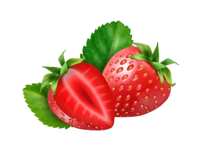 1908.i308.004.p.m005.c20.realistic berries set-02