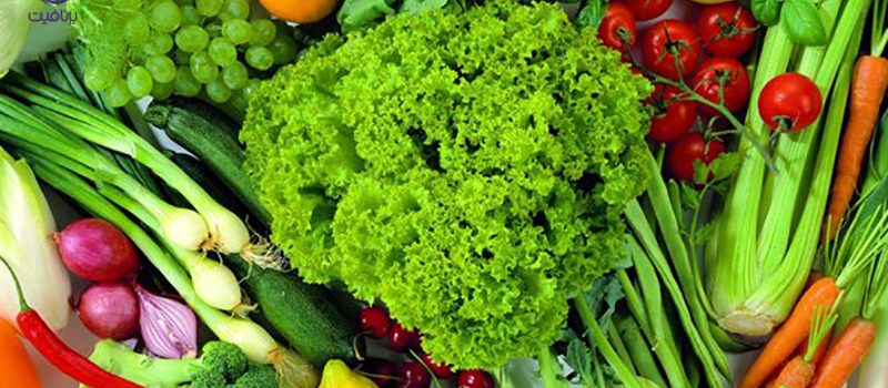 مواد غذایی قلیایی- تغذیه- برنافیت