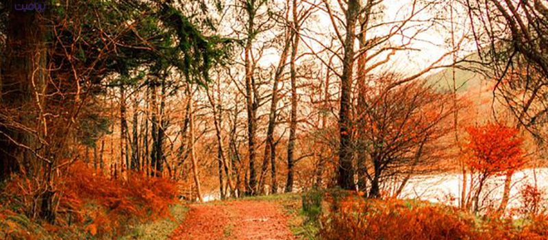 جاذبه های دیدنی- سبک زندگی- برنافیت