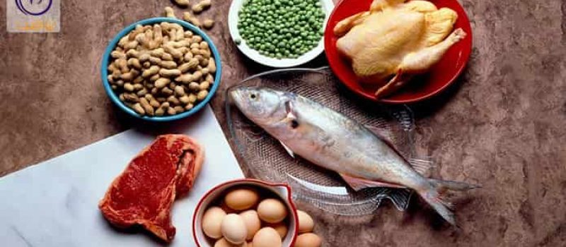 مصرف پروتئین و افزایش وزن